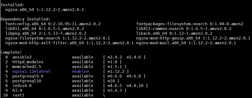 ec2-nginx-2