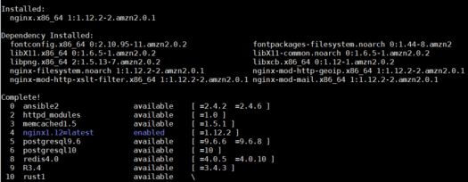 ec2-nginx-2